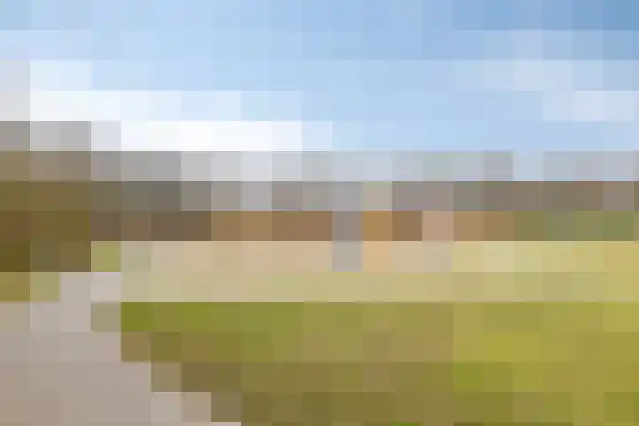 Menninge 22 Oosterwolde thumbnail 42