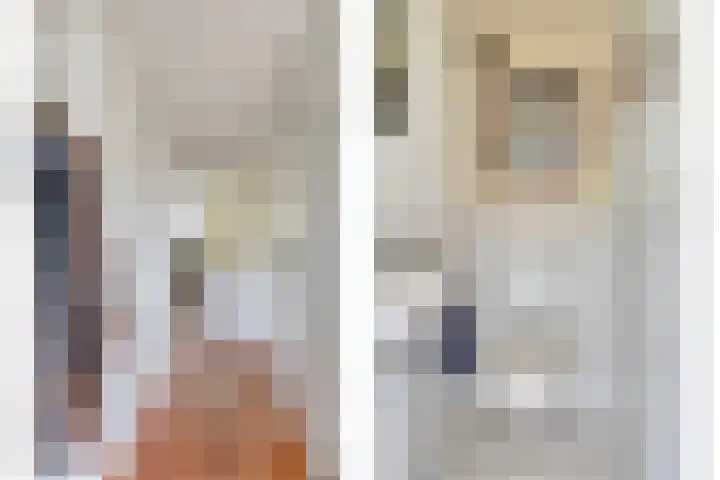 Menninge 22 Oosterwolde thumbnail 8