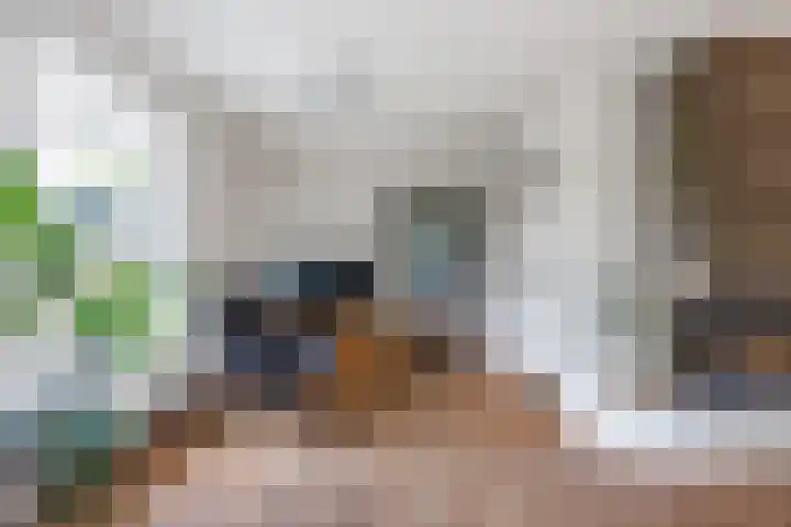 Mensingeweersterweg 2 B Eenrum thumbnail 16