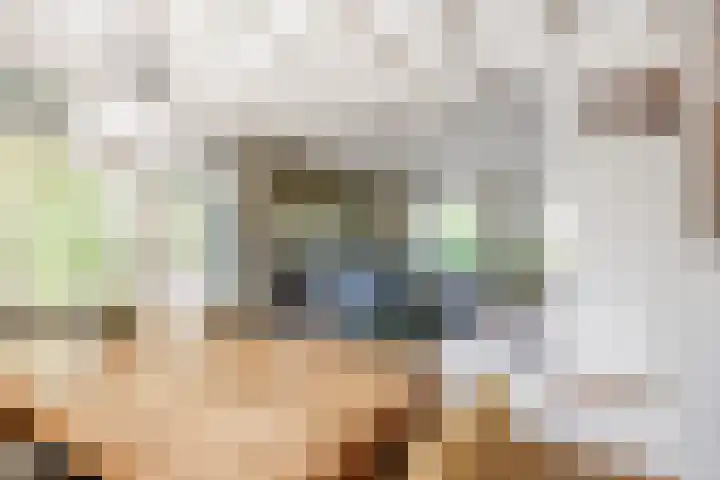 Mensingeweersterweg 2 B Eenrum thumbnail 19
