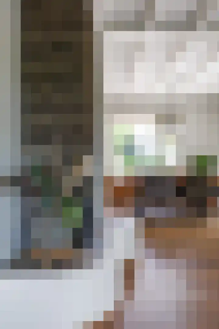 Mensingeweersterweg 2 B Eenrum thumbnail 30