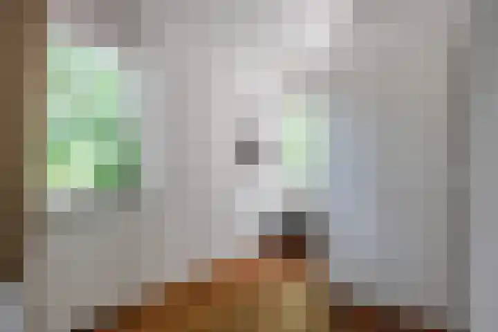 Mensingeweersterweg 2 B Eenrum thumbnail 33