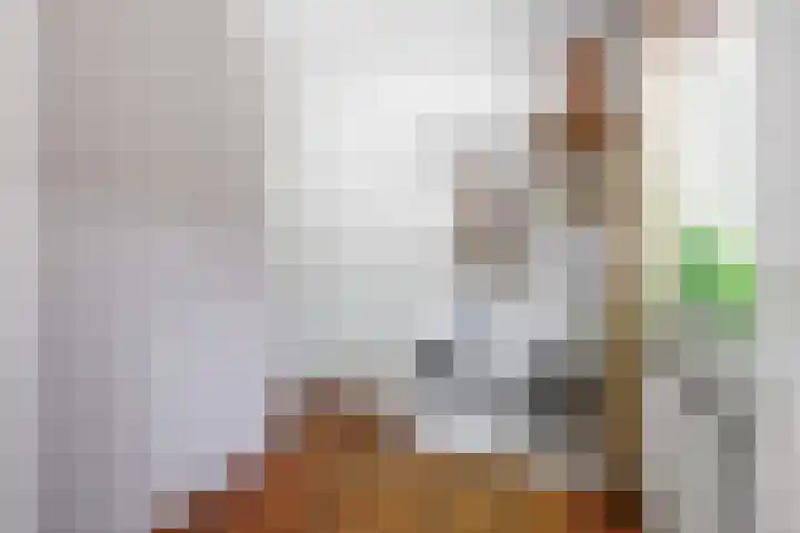 Mensingeweersterweg 2 B Eenrum thumbnail 34