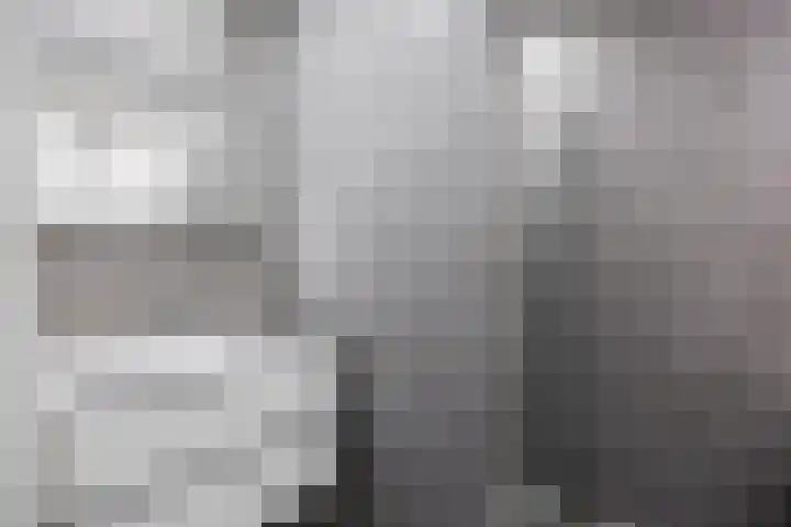 Mensingeweersterweg 2 B Eenrum thumbnail 38