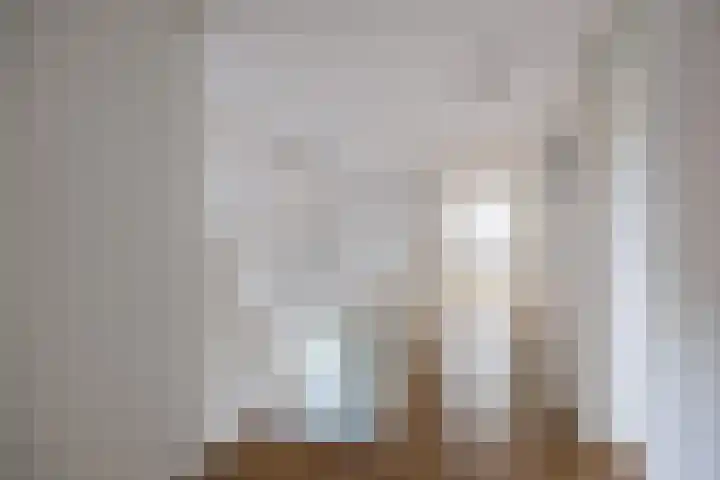 Mensingeweersterweg 2 B Eenrum thumbnail 41
