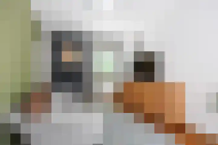 Mensingeweersterweg 2 B Eenrum thumbnail 42