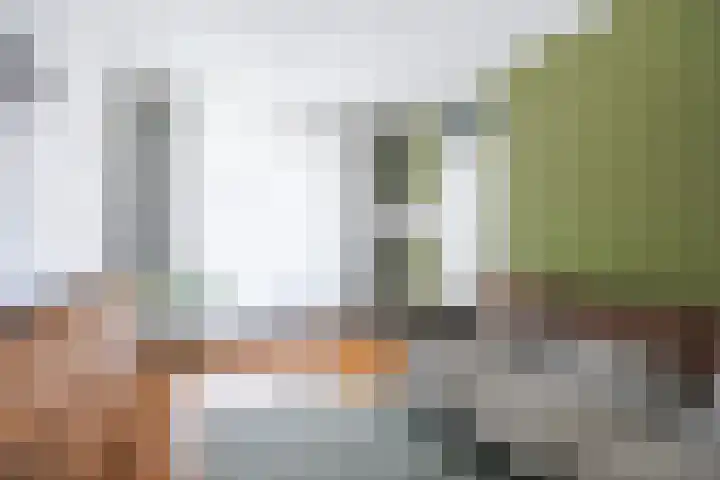 Mensingeweersterweg 2 B Eenrum thumbnail 43