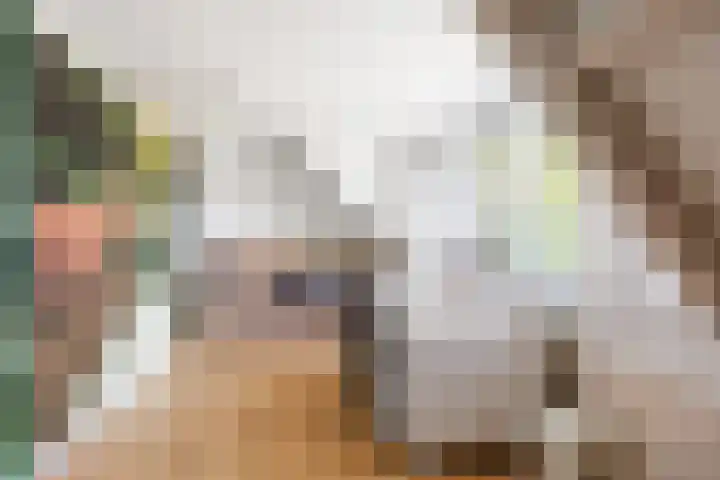 Mensingeweersterweg 2 B Eenrum thumbnail 47