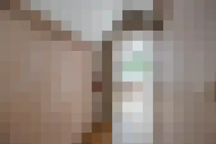 Mensingeweersterweg 2 B Eenrum thumbnail 49