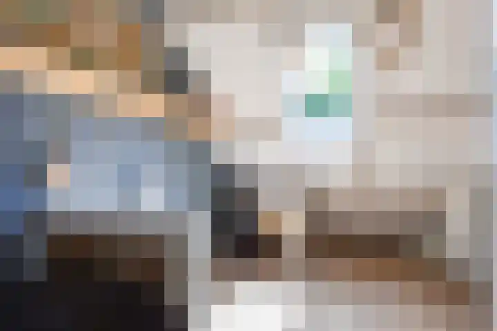 Mensingeweersterweg 2 B Eenrum thumbnail 57