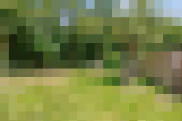 Mensingeweersterweg 2 B Eenrum thumbnail 65