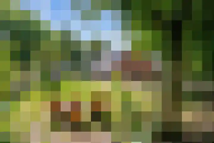 Mensingeweersterweg 2 B Eenrum thumbnail 67