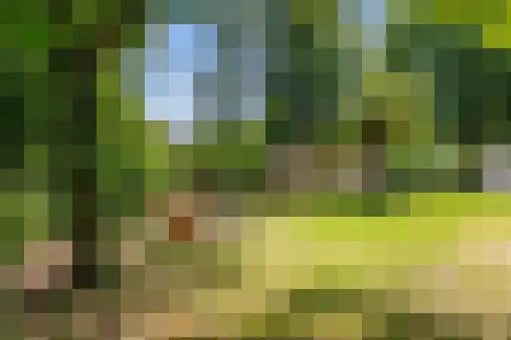 Mensingeweersterweg 2 B Eenrum thumbnail 68