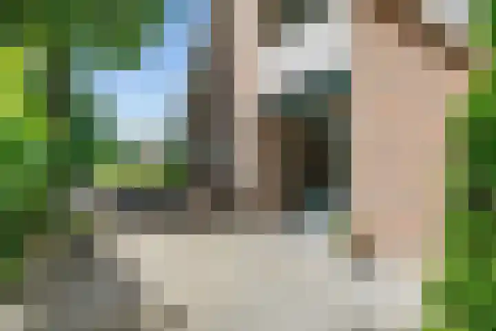 Mensingeweersterweg 2 B Eenrum thumbnail 71