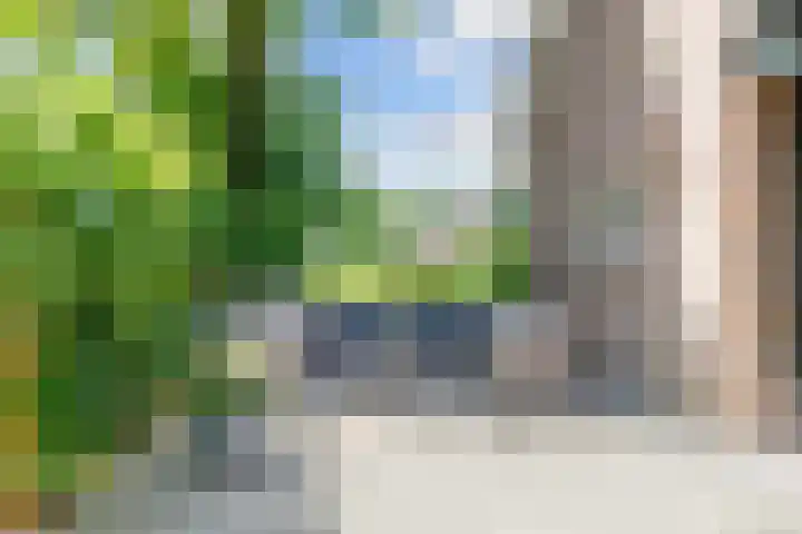 Mensingeweersterweg 2 B Eenrum thumbnail 72