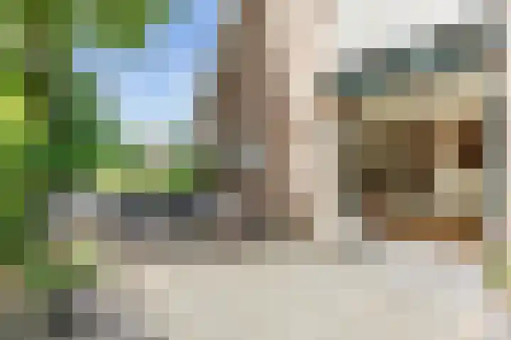 Mensingeweersterweg 2 B Eenrum thumbnail 78