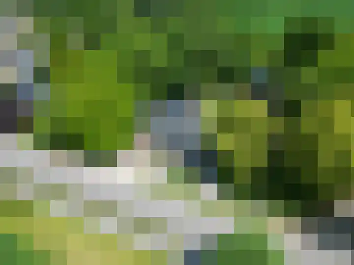 Mensingeweersterweg 2 B Eenrum thumbnail 79