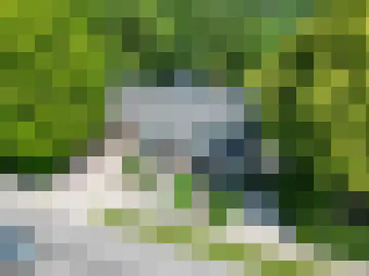Mensingeweersterweg 2 B Eenrum thumbnail 80