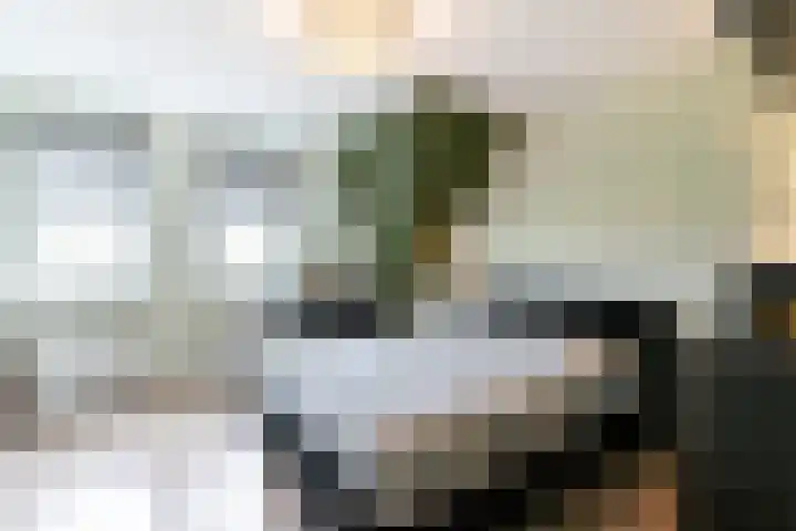 Menuet 12 Sliedrecht thumbnail 12