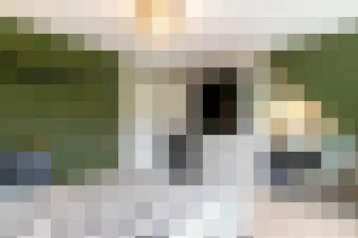 Menuet 12 Sliedrecht thumbnail 13