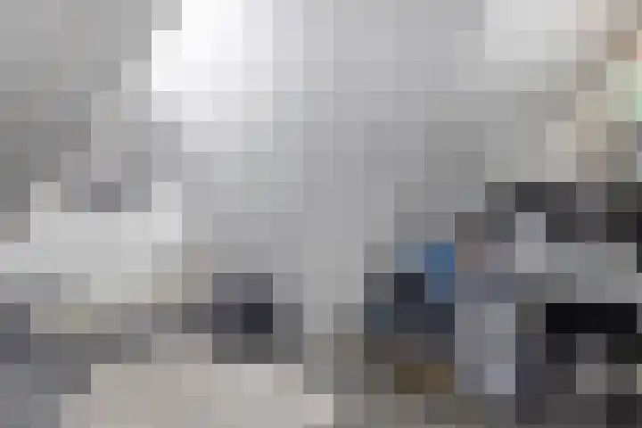 Menuet 12 Sliedrecht thumbnail 16