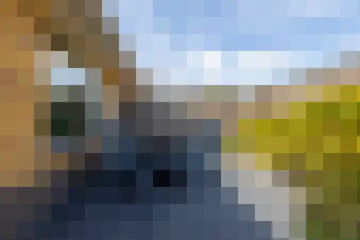 Menuet 12 Sliedrecht thumbnail 18