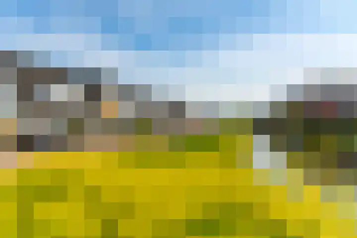 Menuet 12 Sliedrecht thumbnail 21
