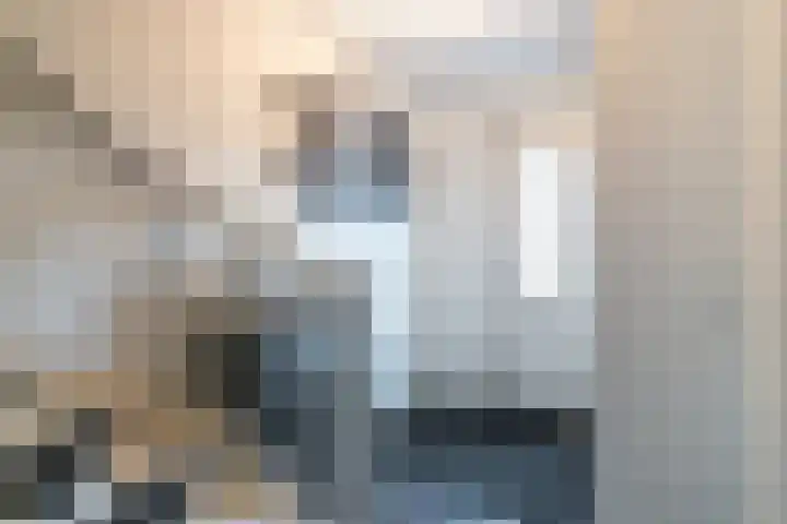Menuet 12 Sliedrecht thumbnail 7