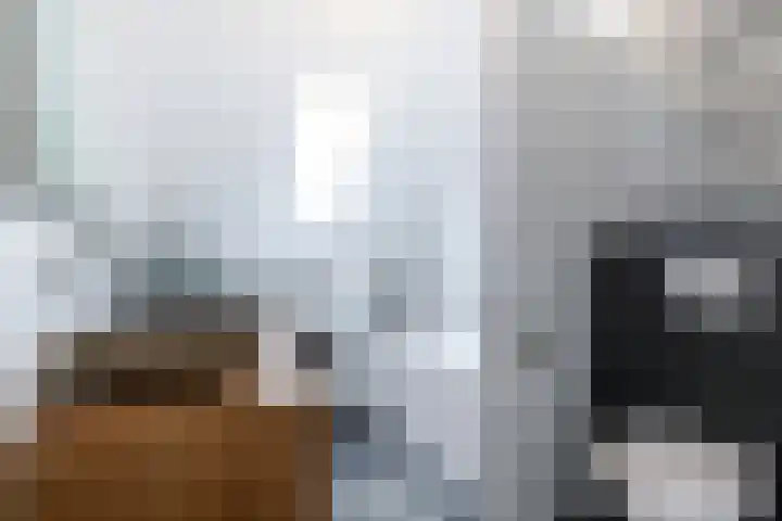 Menuet 12 Sliedrecht thumbnail 9