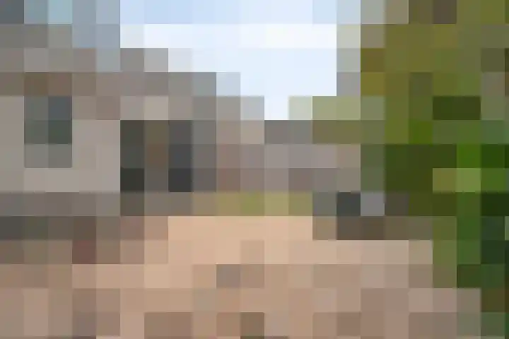Menuetstraat 11 Almere thumbnail 36