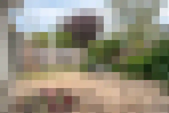 Menuetstraat 11 Almere thumbnail 37