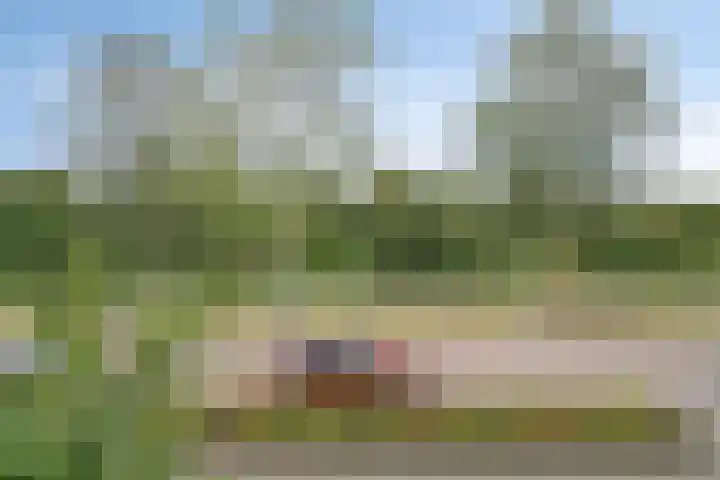 Menuetstraat 11 Almere thumbnail 41