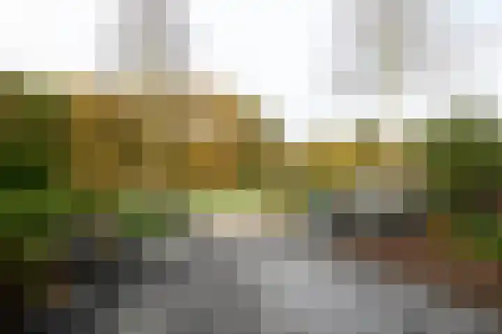 Menuetstraat 31 Almere thumbnail 41
