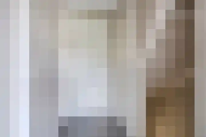 Menuetstraat 9 Venray thumbnail 17
