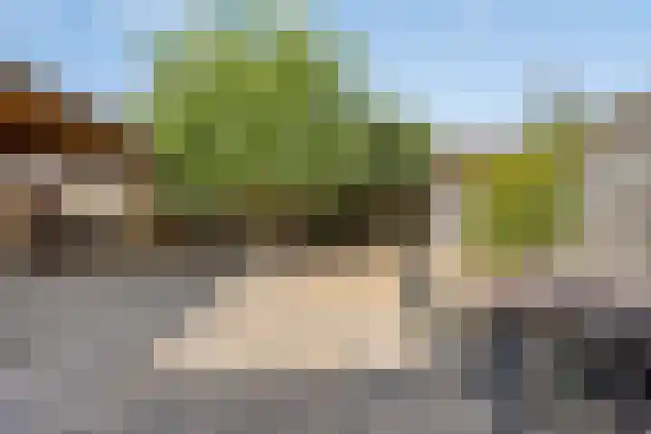 Menuetstraat 9 Venray thumbnail 27