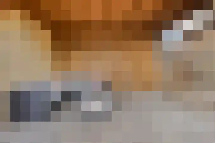 Menuetstraat 9 Venray thumbnail 29