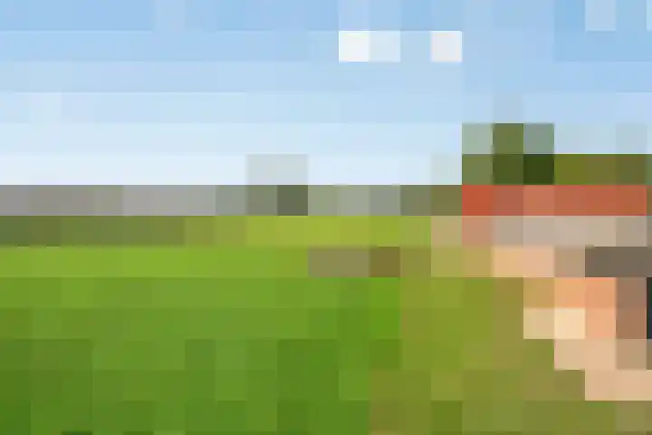 Menzel 48 Nistelrode thumbnail 12