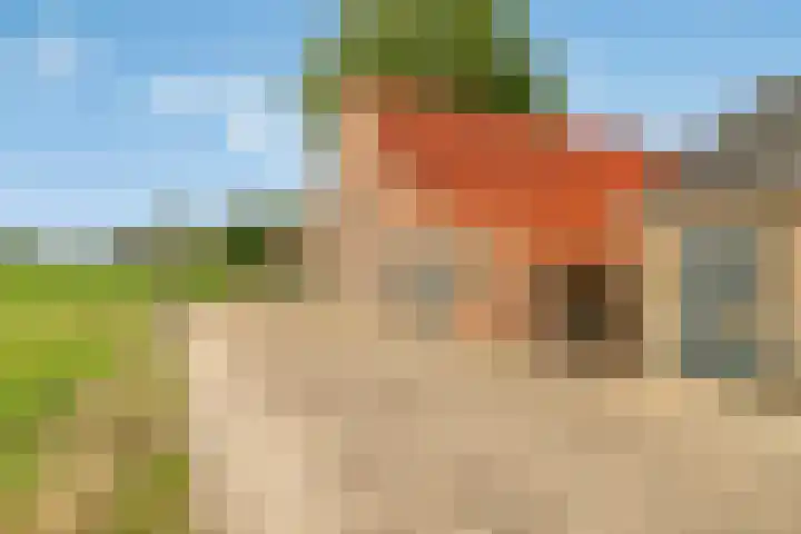Menzel 48 Nistelrode thumbnail 5