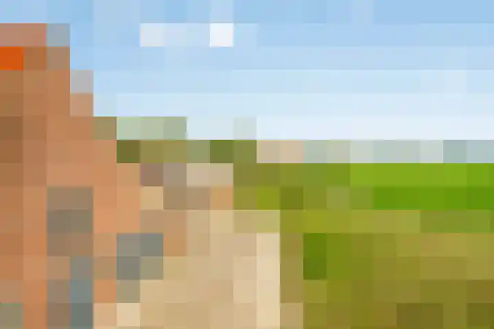 Menzel 48 Nistelrode thumbnail 6