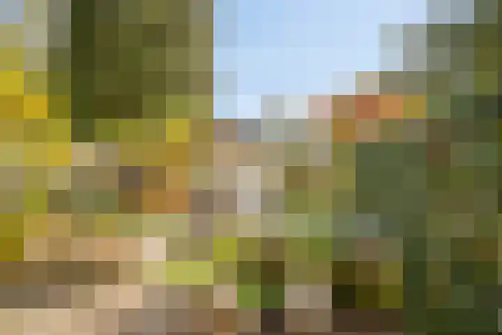 Meppelstraat 12 Arnhem thumbnail 12