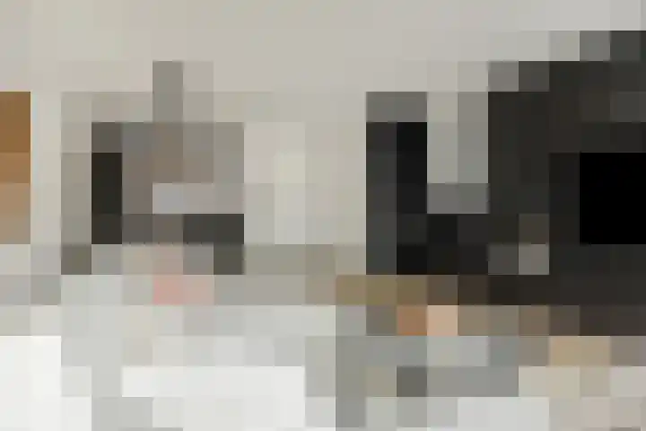 Merbau 3 Rosmalen thumbnail 4