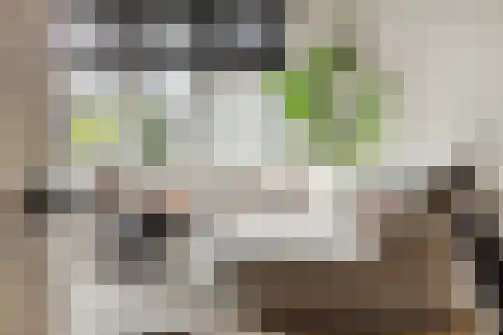 Merbau 3 Rosmalen thumbnail 8