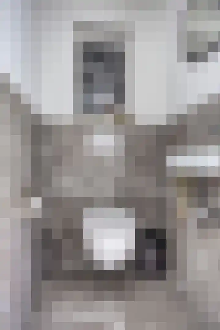 Mercatorstraat 109 4 Amsterdam thumbnail 16