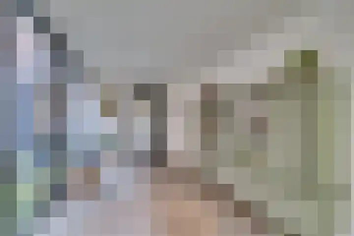 Mercatorstraat 5 Venlo thumbnail 37