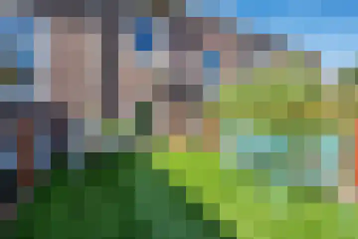 Mercatorstraat 5 Venlo thumbnail 62