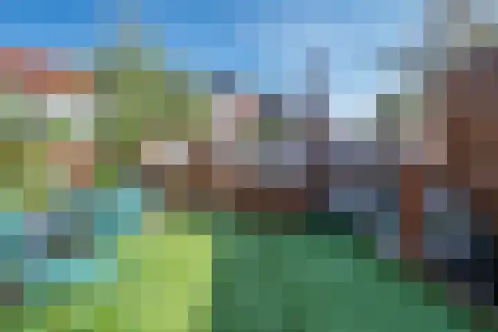 Mercatorstraat 5 Venlo thumbnail 63