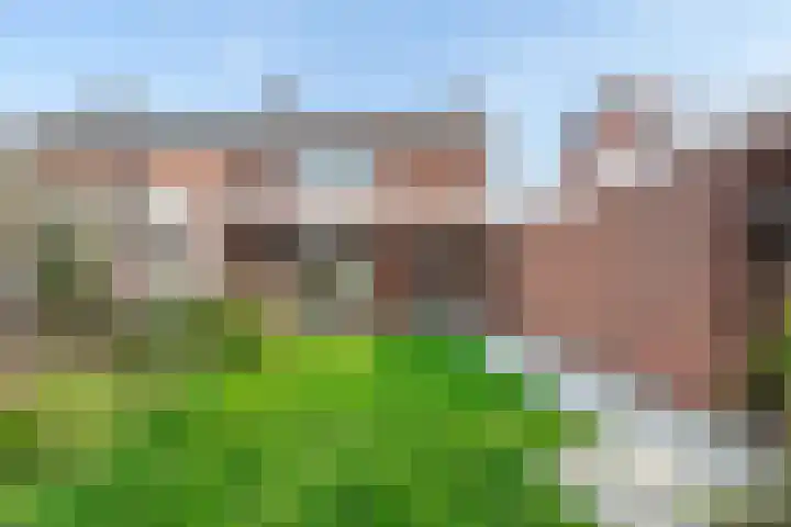Merckelbaghstraat 10 Landgraaf thumbnail 18