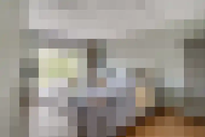 Mercurius 21 Duiven thumbnail 12