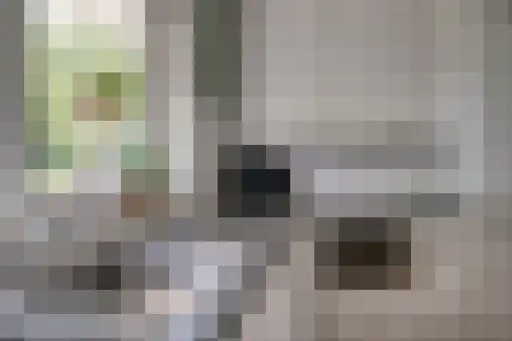 Mercurius 21 Duiven thumbnail 14