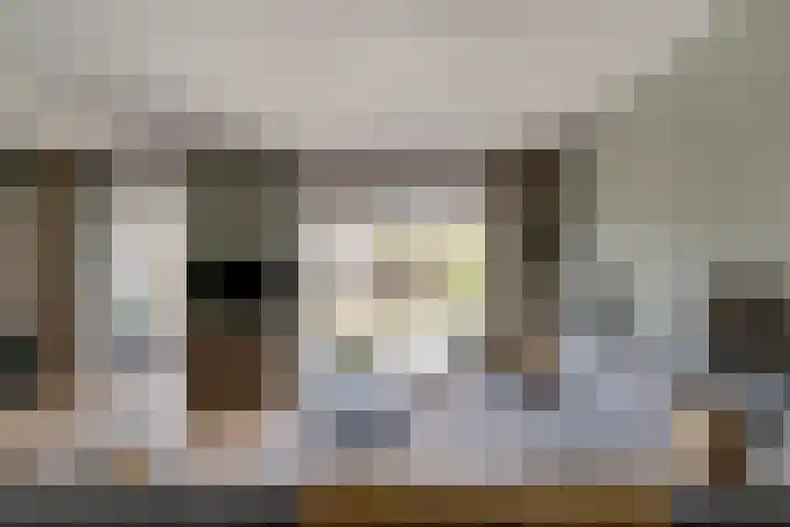 Mercurius 21 Duiven thumbnail 16